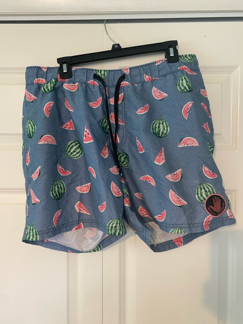Blue Watermelon Print Swim Trunks